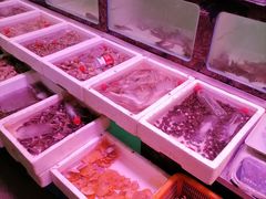 -长平肥姐白粥·海鲜打冷