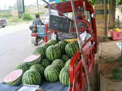 -白鹭湾湿地公园