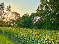 -中国天府农业博览园