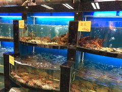水产区-莆鑫海鲜城(浏河店)