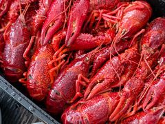 -靓靓蒸虾·头牌蒸虾(雪松路总店)