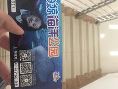 -芜湖新华联大白鲸海洋公园