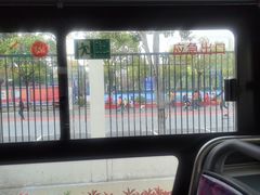 -上海市实验学校