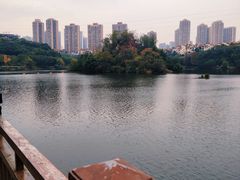 -重庆彩云湖湿地公园