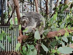 -热带雨林自然公园