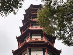 -绳金塔