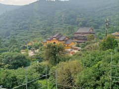 -树山生态村