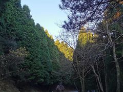 -含鄱口