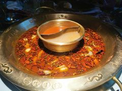 -新哥老官·畅吃123·美蛙世界(苏宁广场店)