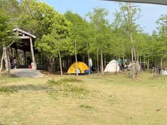 -上海海湾国家森林公园