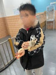 -Moni星球萌宠·小马宝莉·灵蛇·高端高阶全萌宠互动体验俱乐部(红豆国际广场店)