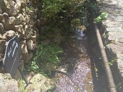 -MOJ coffee(瓯海泽雅水碓坑店)