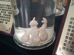 -横道河子东北虎林园