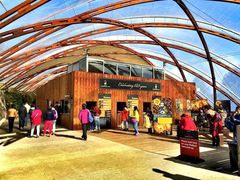 -怀托摩萤火虫洞