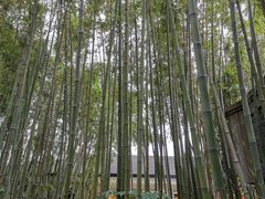 -迪士尼小镇