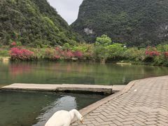 -靖西鹅泉风景区
