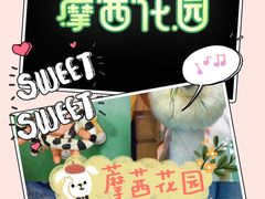-藦茜花园宠物主题亲子互动体验馆(国顺东路店)