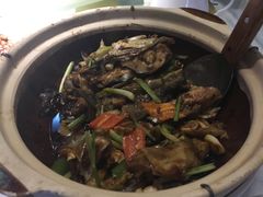 -鹅城
