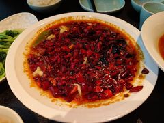 -唐猫庭院·千年陕菜(赛格国际购物中心店)