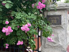 -天津五大道文化旅游区