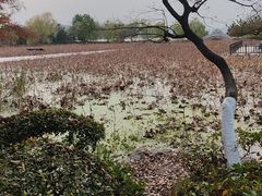 -云龙湖旅游景区