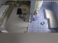 -波姐宠物家庭寄养