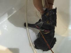 -Oh My Dog宠物沙龙(伊珊娜皮毛护理店)