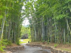 -水底山庄园温泉