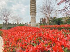-南普陀寺