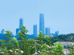 -信号山公园