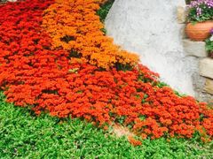 iphone_upload_pic-胡里山炮台