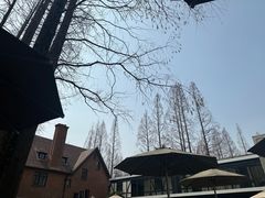 -一尺花园(安和花园店)