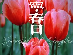 -大宁公园