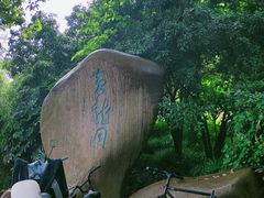-杭州黄龙洞