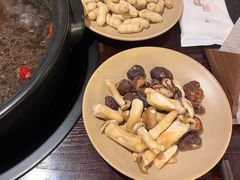 -滇野云南野生菌餐厅(陕西南路店)