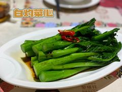 白灼田园菜心-隆隆金大茶楼(地王广场店)
