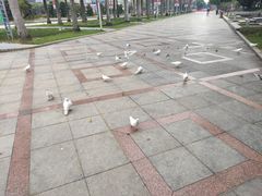 -顺峰山公园