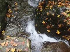 -宁波五龙潭景区