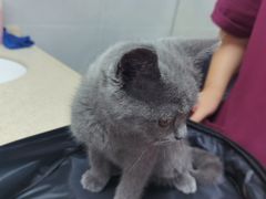 -宠颐生嘉德动物医院
