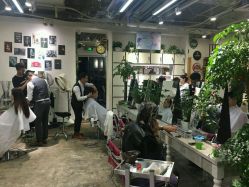 -木北护肤造型
