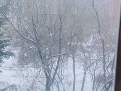 -万鑫鸡翅
