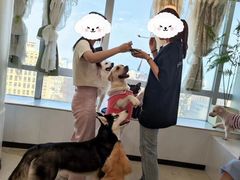 -共舞时光猫咖·狗咖(新街口店)