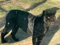 -鄂尔多斯野生动物园