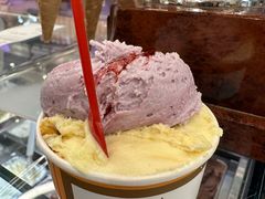 -Gelateria Dondoli