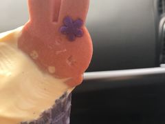 -麦当劳(河北唐山光明路餐厅)