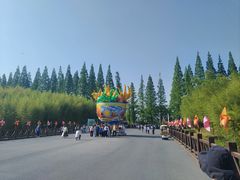 -黄海国家森林公园