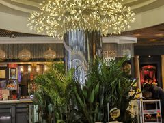 -润园四季椰子鸡火锅(海上世界店)