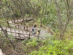 -大岭沟猕猴桃谷风景区