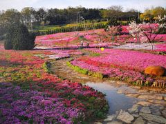 -棒棰岛宾馆景区
