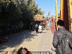 -呀路古热带植物园